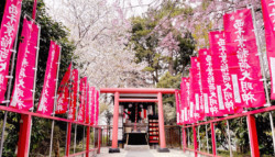 西千葉稲荷大明神