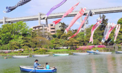 千葉公園こいのぼり