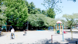 松波公園